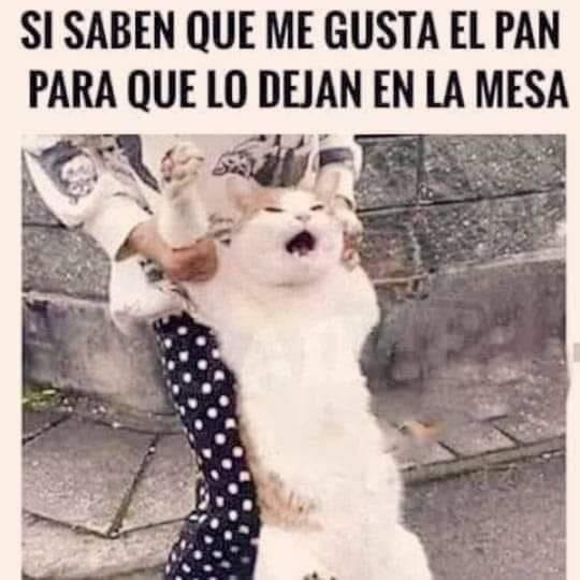 juarez1378